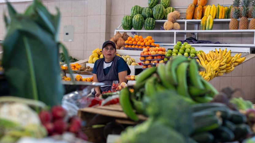 Gráfica sobre la variación de la inflación mensual de Ecuador publicada por el INEC
