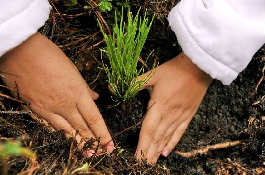 ESPOL y la vanguardia ambiental en Ecuador