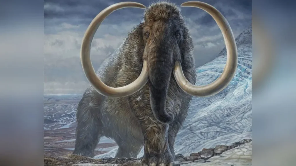 Un avance en células madre acerca la 'resurrección' del mamut lanudo