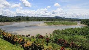 Proyecto Sacha: Apoyo a la Amazonía de Ecuador