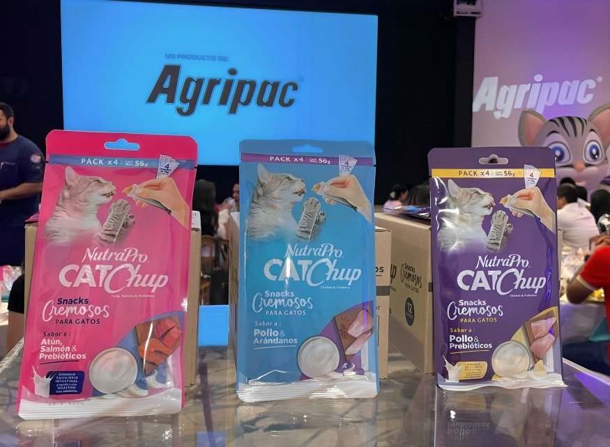 Catchup, nueva opción alimenticia para gatos