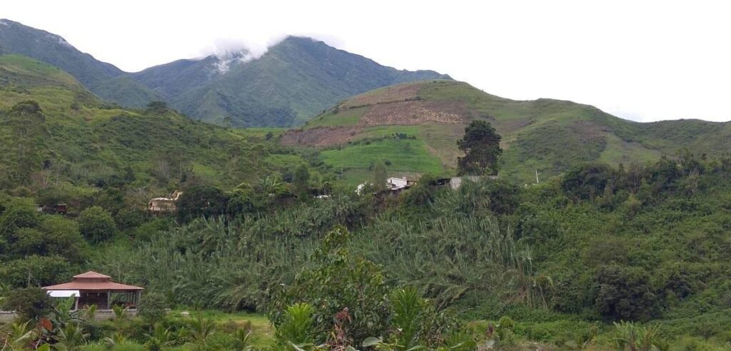 Aluvión en Alausí:Viviendas destruidas a vías afectadas