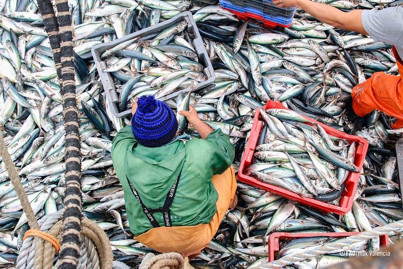 Ecuador es uno de los principales exportadores de productos de animales acuáticos