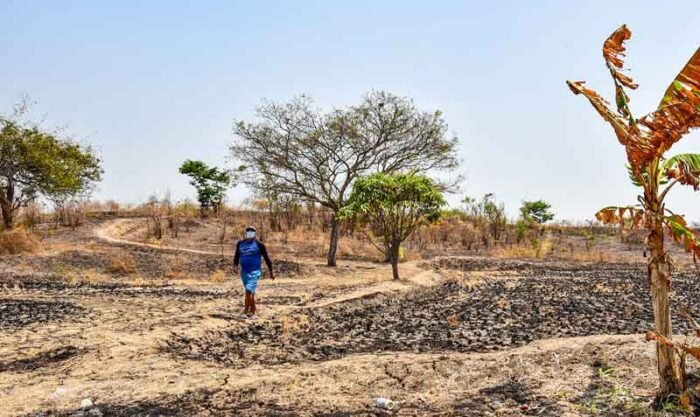 Galápagos enfrenta severa sequía y podría declararse emergencia