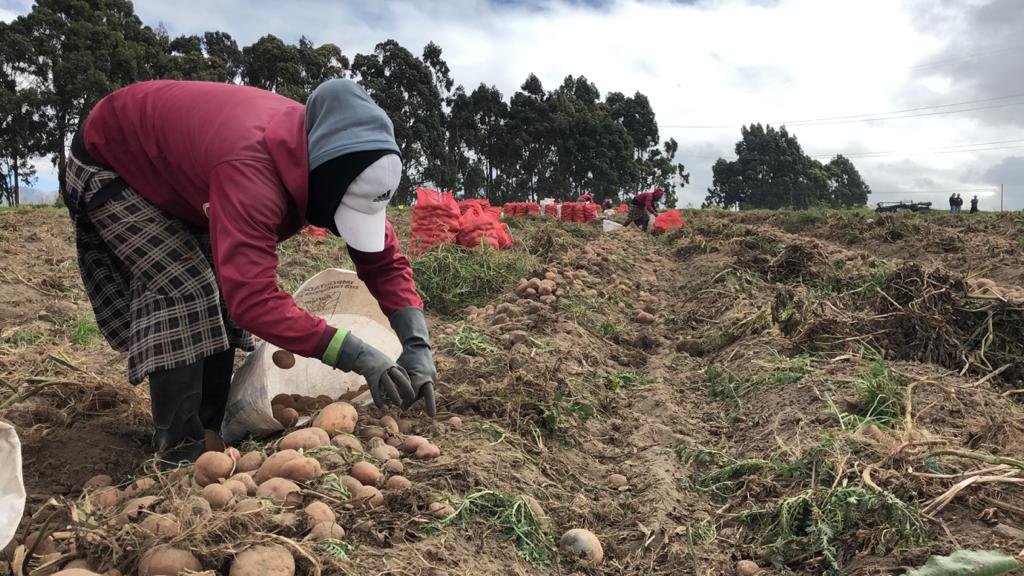 Gobierno entrega 200 títulos de propiedad en Cotopaxi