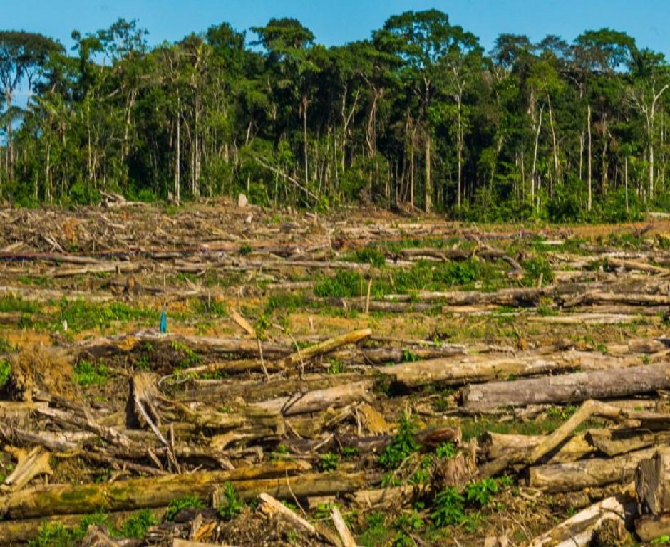 Ecuador recibe USD 25,1 millones de Alemania para mitigar la deforestación