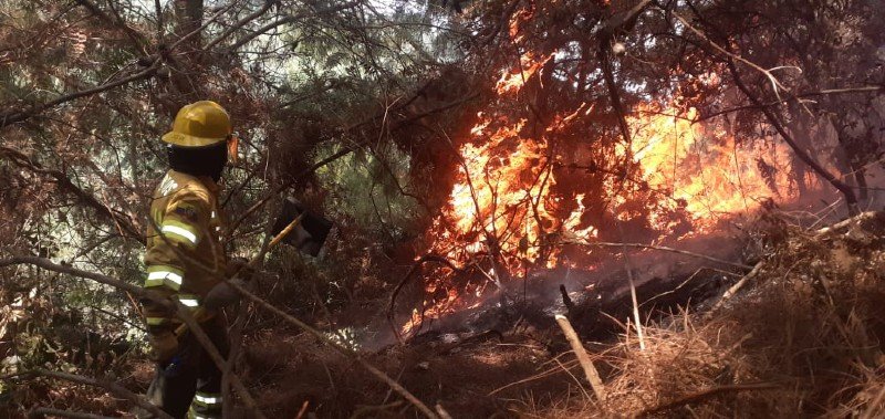 Colombia enviará ayuda a Ecuador para combatir incendios forestales