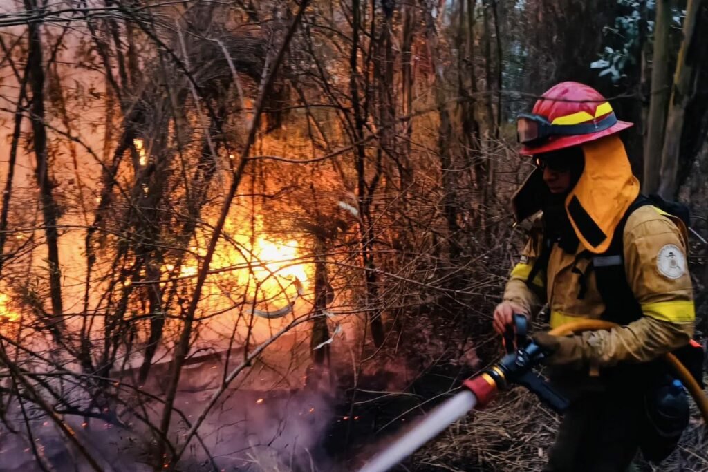 incendio forestal