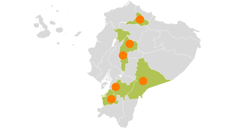 El Domo