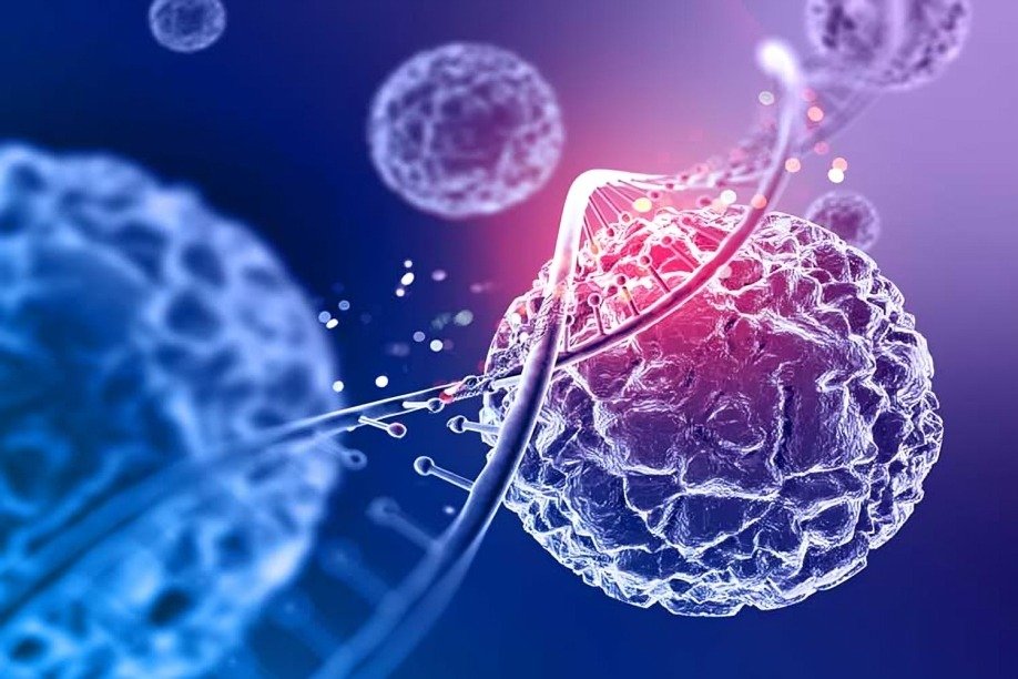Johnson & Johnson lanza en España un nuevo tratamiento oral contra el cáncer de vejiga