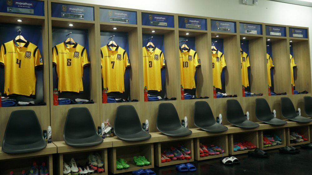 Alineación de Ecuador confirmada para el partido ante Brasil por las Eliminatorias 2026. Conoce los titulares y novedades del equipo tricolor.