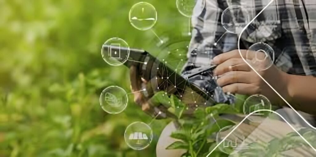 Tecnología digital: aliada clave contra el cambio climático