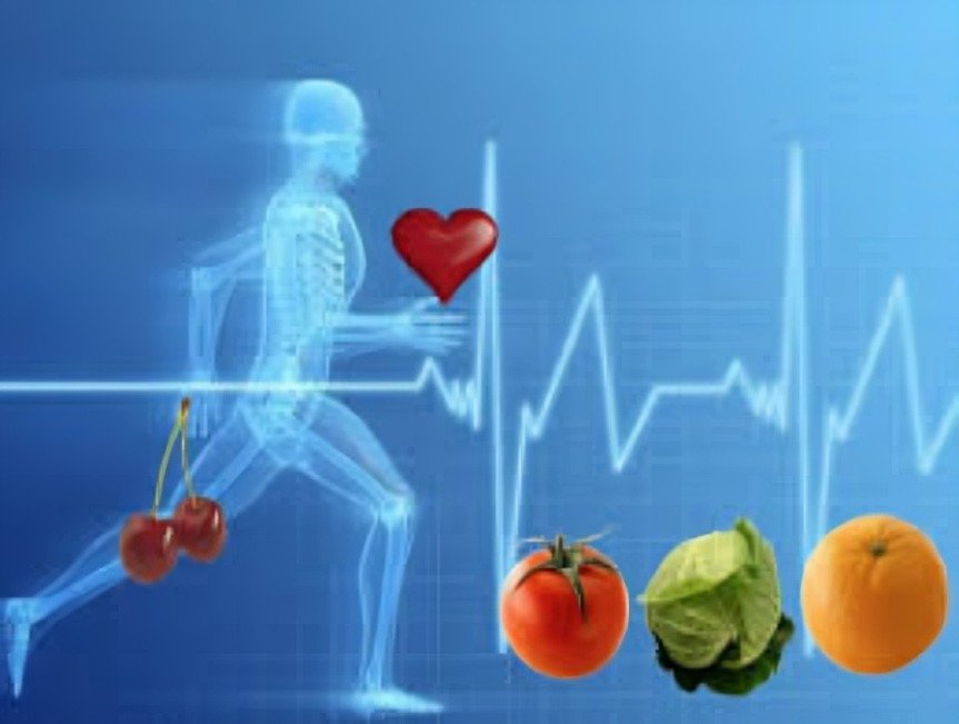 Alertan sobre los riesgos cardiovasculares de objetos cotidianos con plásticos tóxicos