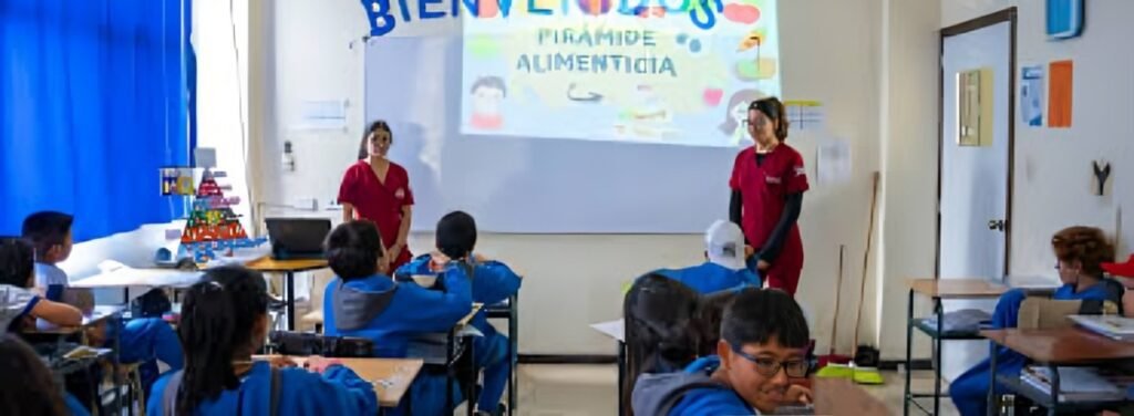 Alimentación segura