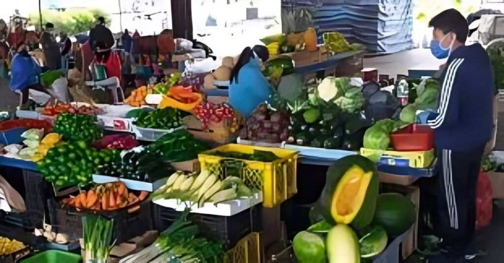 Plan de Comercio