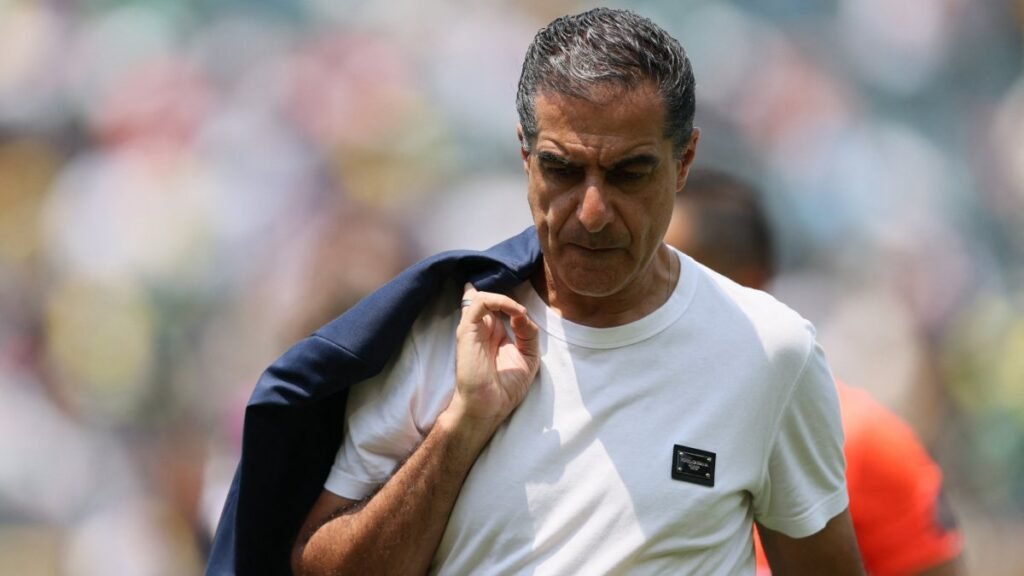 Botafogo echó a su entrenador