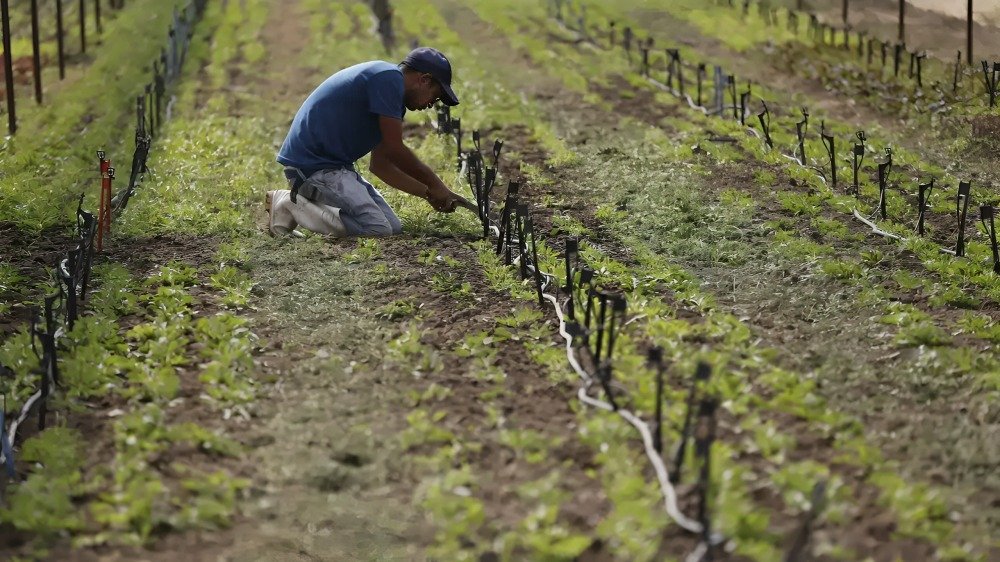 PepsiCo y Cargill se unen para impulsar la agricultura regenerativa en Iowa