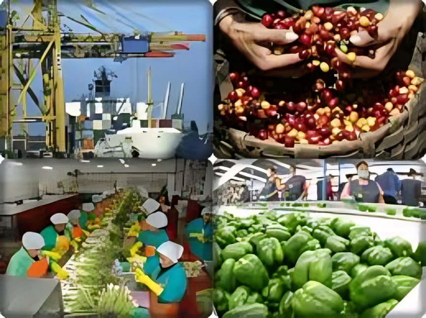 El rumbo comercial del Ecuador muestra un cambio positivo. Sectores no tradicionales avanzan, pero enfrentan desafíos para consolidar.