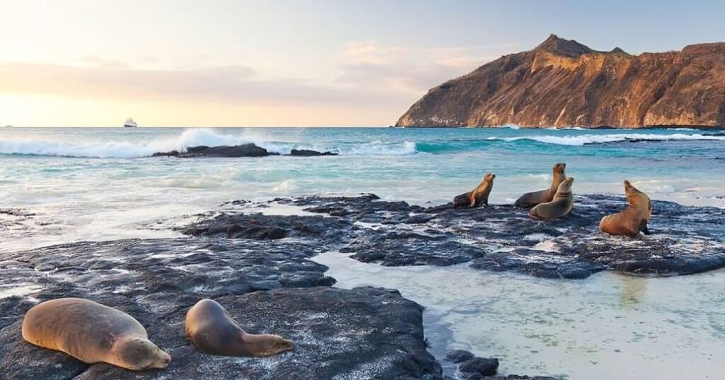 ampliación de la Reserva de Biosfera Galápagos