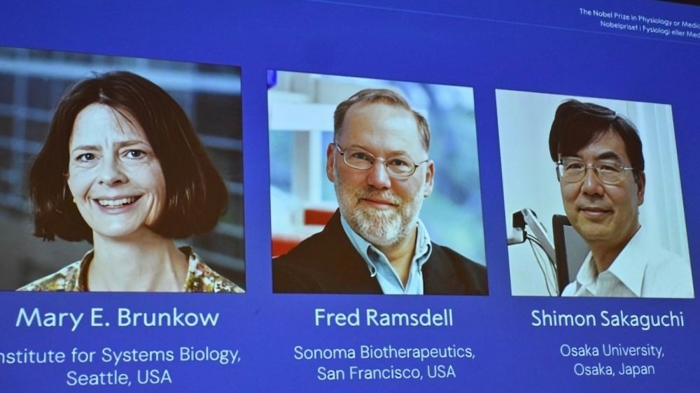 Científicos Mary Brunkow, Fred Ramsdell y Shimon Sakaguchi ganadores del Premio Nobel de Medicina 2025 por descubrimiento inmunológico