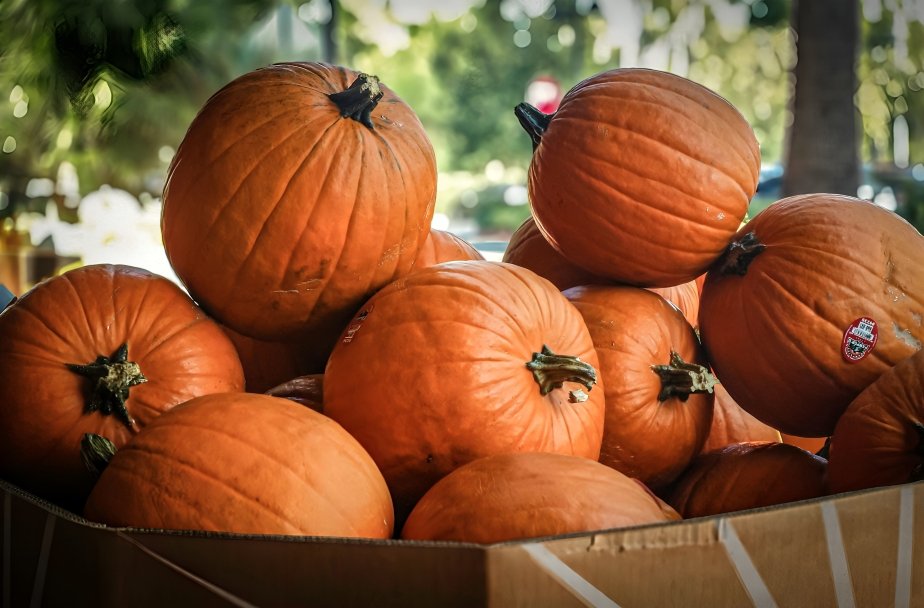 Decoraciones de Halloween en comercios de Ecuador con calabazas, dulces y consumidores comprando productos temáticos