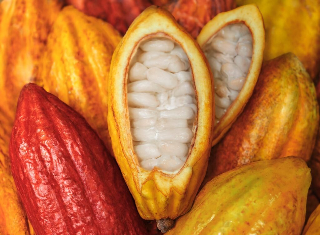 Natura Ekos Cacao en Ecuador