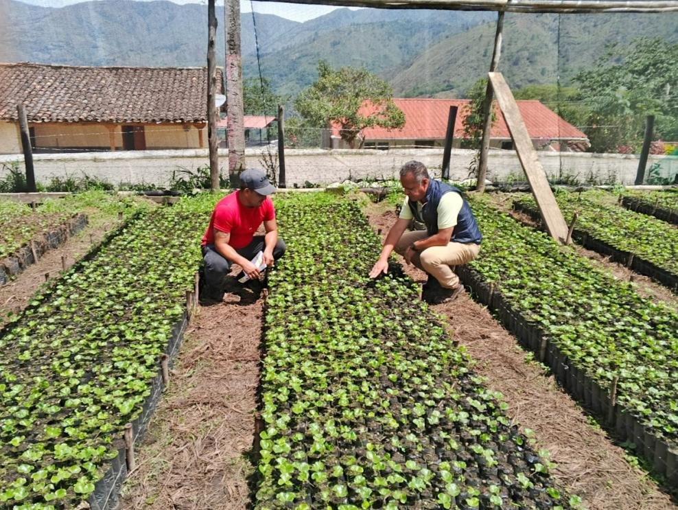 Loja café de especialidad
