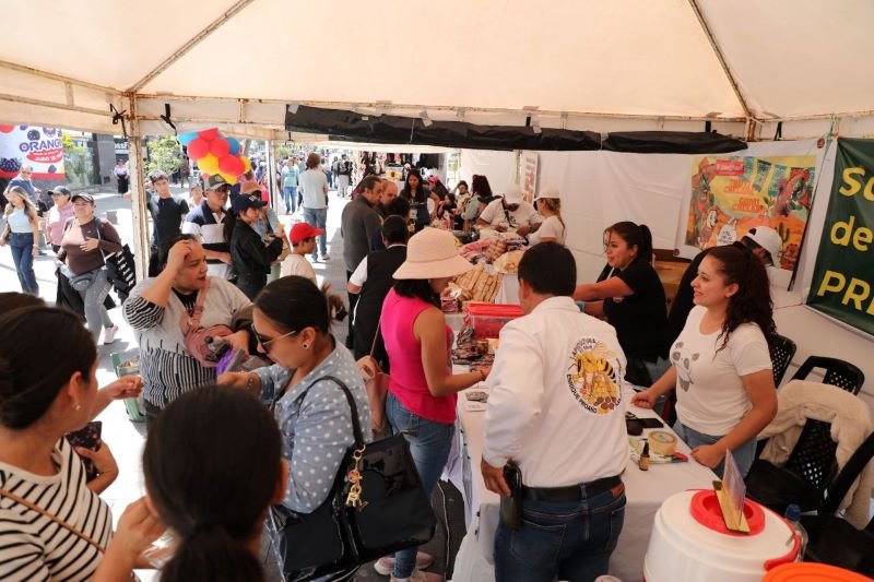 Conciertos y ferias