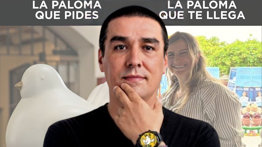 violencia política de género