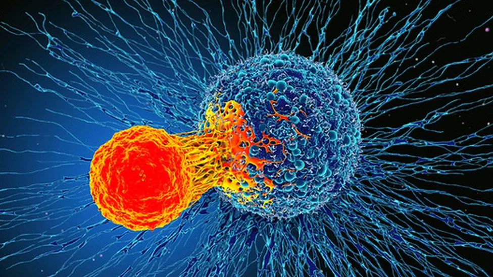 Cáncer Prevenible: Cómo Evitar 4 de Cada 10 Casos