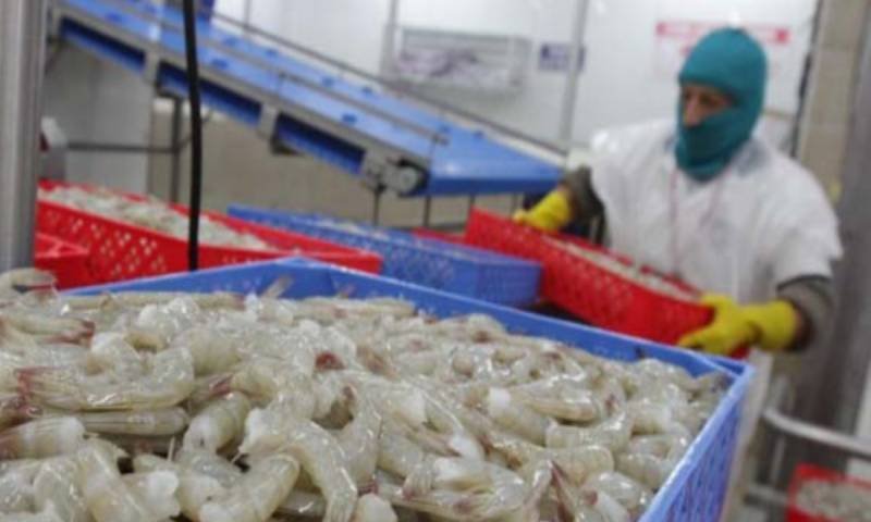 Exportaciones de camarón