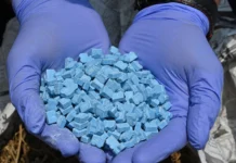 Microtráfico de drogas sintéticas en Ecuador se traslada a redes y apps digitales drogas sintéticas