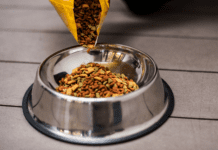 Crecimiento de las exportaciones de alimentos para mascotas en Ecuador alimentos para mascotas