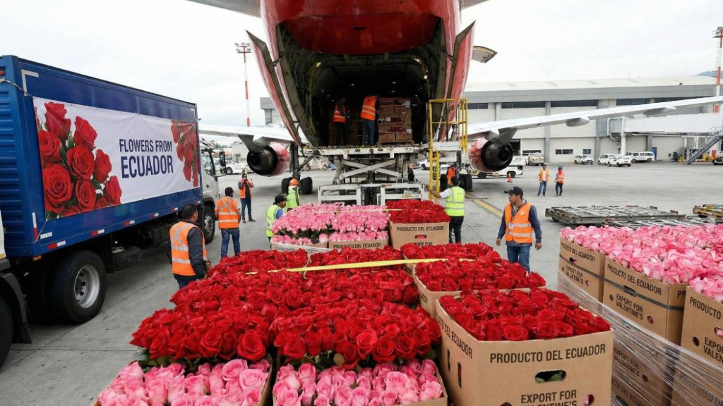 exportaciones de flores