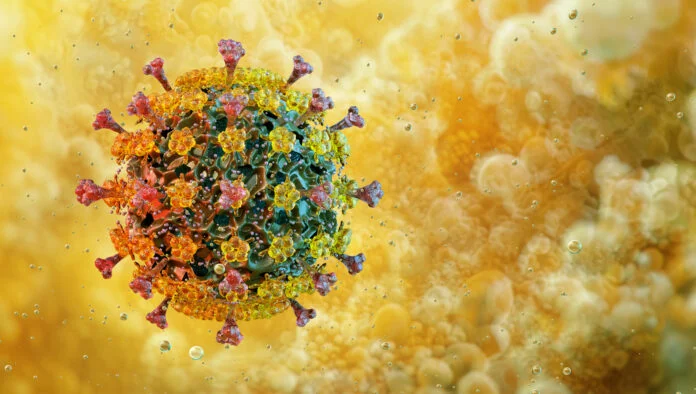 Representación gráfica de los virus Influenza D y Coronavirus Canino, destacando la importancia de la vigilancia y prevención.