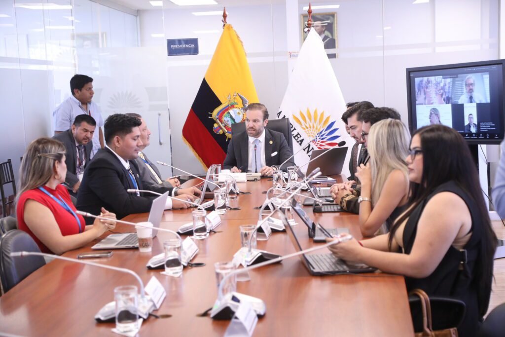 Ley Reproducción Asistida vacíos constitucionales