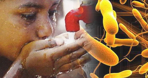 Vacunas anticoléricas siendo distribuidas para campañas preventivas en Mozambique.