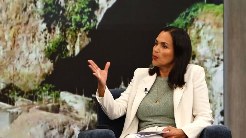 Gobierno descarta apagones