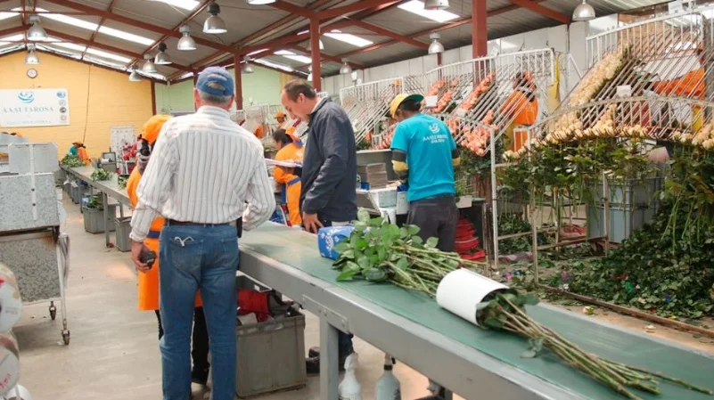 regulación de mercados