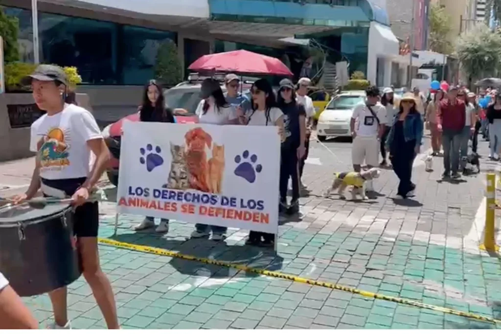 Marcha con mascotas