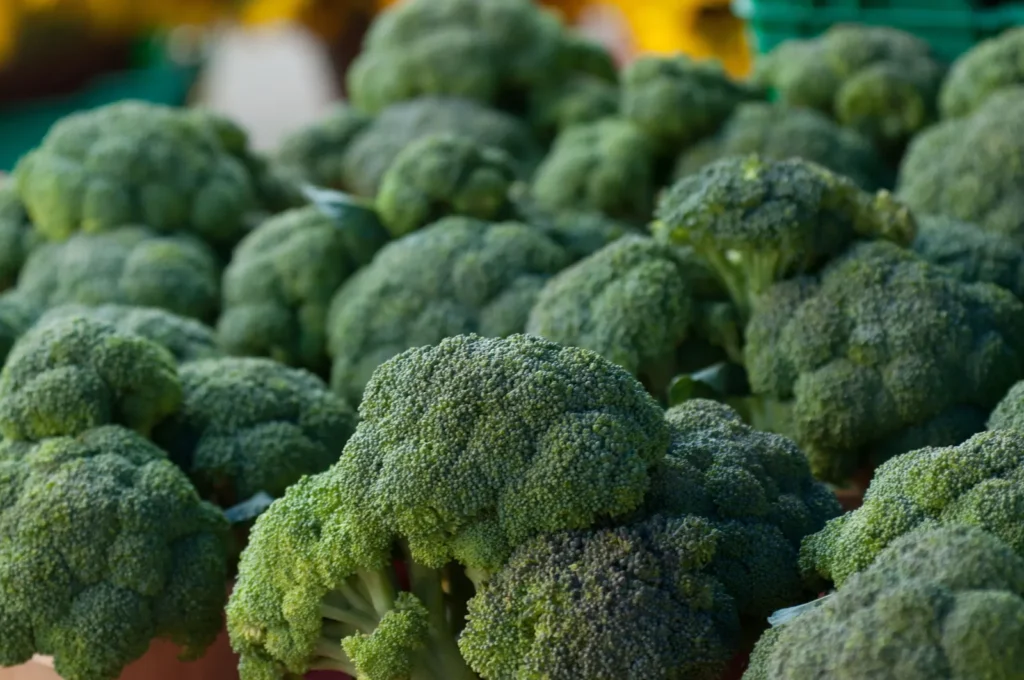 Primer plano de brócoli fresco mostrando su vibrante color verde y textura, resaltando sus beneficios nutricionales.