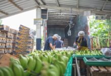 Ecuador vuelve a crecer: señales de recuperación tras la recesión recuperación tras la recesión