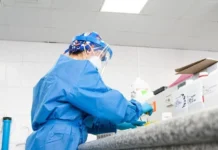 Salud Pública Independiente: Un Faro de Gestión Técnica y Ética en Ecuador Profesional de la salud revisando documentos en un escritorio con un fondo de hospital.