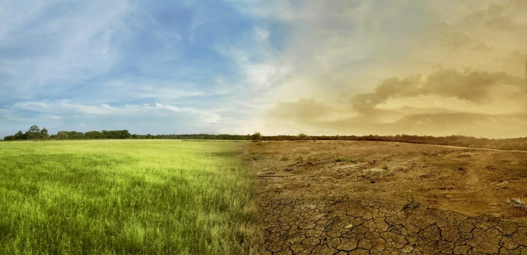 cultivos en Ecuador afectados por clima extremo con uso de tecnología agrícola