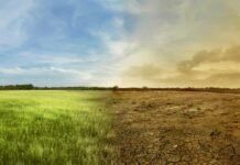 La agricultura ecuatoriana frente al clima extremo: innovación, agua y sostenibilidad marcan el camino cultivos en Ecuador afectados por clima extremo con uso de tecnología agrícola