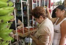 El efectivo sigue mandando en Ecuador: así deben manejarlo los pequeños negocios para evitar pérdidas y fraudes economía ecuatoriana