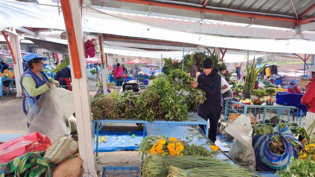 Hierbateras de Quito