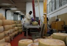 El “banco del queso” en Italia: cómo el parmesano se convirtió en un valioso activo financiero banco del queso