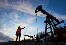 Ecuador diversifica sus exportaciones, pero el desafío ahora es generar más valor agregado