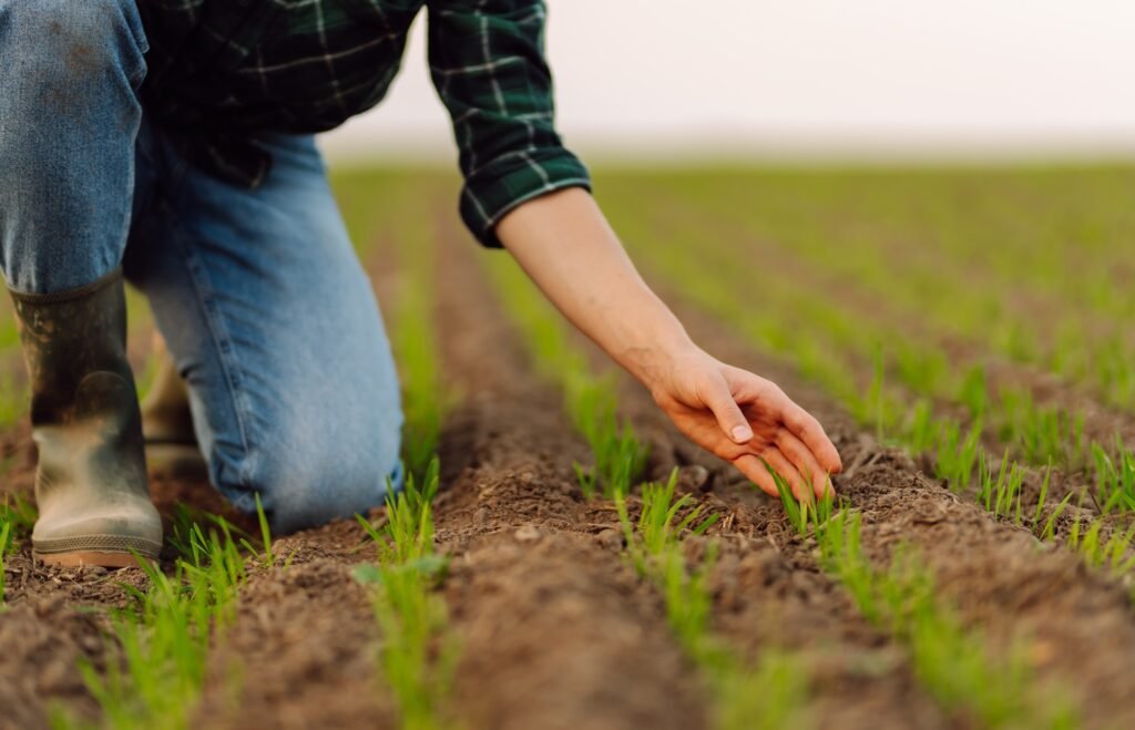 En Ecuador, los cultivos frente a El Niño requieren diagnóstico oportuno, nutrición balanceada y monitoreo constante para proteger la productividad agrícola.